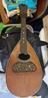 Vintage Mandolin  String Tater Bug With Some Damage 