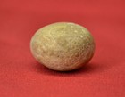 An Authentic Llama Bezoar Stone  Irregular Roundish Shape- 10 5 Grams - B136