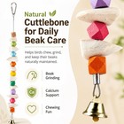 2 Pack Bird Toys With Cuttlebone  Parakeet Toys For Cage  Beak Grinding Stone   