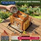 Bird Feeders For Outdoors Hanging  Metal Bird Feeder With Double Suet Cage Weath