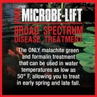 Microbe-lift Broad Spectrum Disease Treatment  1 Gallon
