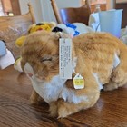 Vintage Avanti Applause Stuffed Tabby Cat 