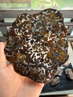 120 8grams Sericho Pallasite Meteorite Slice Specimen With Coa