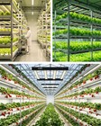 3000w Spider Led Most Efficient Grow Light Bar Full Spectrum Commercial Led Lamp