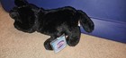 Webkinz Black Wolf  W   Code Rare Very  Htf   