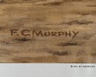 F  C  Murphy  Aberdeen Angus Bulls In The Lot Print  24    W X 20    H