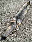 Kit Fox Pelt Fur Hide Tanned Quality Log Cabin Decor Man Cave Art Red Grey