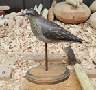 Dave Rhodes  1933-2019  Shore Bird Decoy