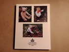 Teddy Bears And Steiff Animals Hardcover Margaret Mandel