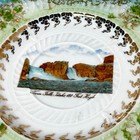 Twin Falls  Id Idaho Antique Souvenir China Trinket Dish Plate