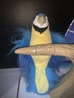 Rare 2005 Gemmy Spinning Macaw New In Box Music Dock Of The Bay