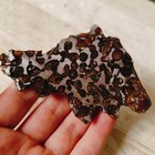 70g Sericho Pallasite Meteorite From Kenya
