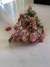 Pink Dried Globe Amaranth Bunch Bouquet Bundle Dried Flowers Auc 2
