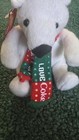 Coca-cola Polar Bear Plush White W  Red   Green Love Coke Scarf Soda Theme