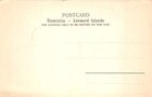 Dominica West Indies Botanical Station No 1 Vintage Postcard Aa87649
