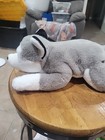 Fao Schwarz Toy Plush Husky - Grey White Color Dog - Laying Position 14 in