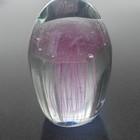 Jellyfish Art Glass Paperweight - Pink - 4   