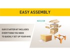 Waxed Auto Honey Bee Hives Beekeeping Boxes House   7x Beekeep Frames   Have Leg