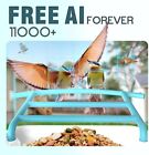 Solar-powered Smart Bird Feeder With Camera  Ai Forever For 11000  Bird Species 