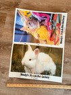 1980s Wendy   s Pick-a-pet Gallery Poster White Rabbit Kitten Advertising Ad41