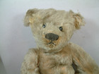 Steiff Antique 12 5  Teddy Bear Shoe Button Eyes Good 90  Mohair Original Pads