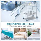 Lab Rolling Cart 2-layer Stainless Steel Medical Dental Lab Serving Cart