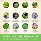Ultimate Medicinal Herb Seeds Variety Pack     36 Heirloom Non-gmo Healing Herbs F
