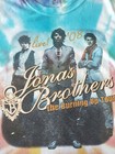 Vintage 2008 Jonas Brothers Demi Lovato The Burning Up Tour Tie Dye Xl T Shirt