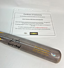 Junior Caminero Signed  game Used 2025  Victus Bat - Dented During Use - Rays