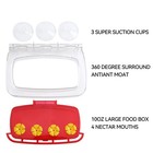 Window Hummingbird Feeder With Strong Suction Cup And 4 Feeding Ports