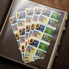 United States Postal Service Garden Delights  5 Bookls Of 20  Total 100pc