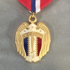 Usa Liberation Of The Philippines Medal Set W  Ribbon Bar   Presentation Case