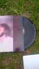 Vinyl Record Lp The Bee Gees Spirits Having Flown Vg