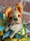 Great Mini Early Steiff Bully The Bulldog 4 5    Hair Collar Long F Ff Button Nice