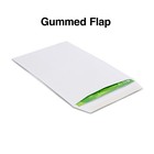 Staples Gummed Flap Seal Economy White Wove Catalog Envelopes 6  X 9  250 bx