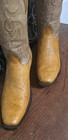  Black Jack  Black Jack Mahi Mahi  Cognac Boots Cgc5700-v4 10d Cowboy Boots 