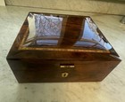 Humidor Supreme Solerno Medium Cigar Humidor Box  Rustic Burl Wood   Maple Inlay