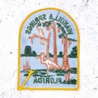 Vintage Wakulla Springs Patch     Florida State Park Cypress Swamp Souvenir