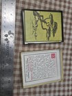 Vintage Antioch Bookplate Co  Bonsai Tree Gummed Book Plates In Original Box