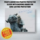 Mark Hamill 8x10 Signed Autograph Rare Photo Signature Reprint Free Ship
