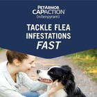 Oral Flea Treatment Dogs 6 Doses 57mg Large Over 25lbs Fast Acting Tablets Pills