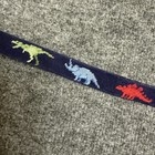 Smathers   Branson Dinosaurs Needlepoint Children   s Golf Belt Size Small Usa
