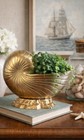 Vintage Solid Brass Nautilus Shell Planter 13    Coastal Mediterranean Decor