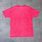 Vintage Y2k New Orleans Jazz And Heritage Festival Music Gator Men   s Red Tee L