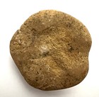 Sea Urchin Fossil - 94 47 Grams - 2 5 Inches