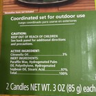 Table Top Torch And 2 Citronella Candles New  uses  Torch Fuel Sold Separately 