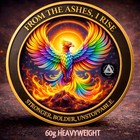     phoenix Sobriety Coin 2    Heavyweight 60g Recovery Gift  4 Year Medallion Token
