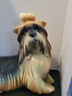 Large Dog Hispania Spain 1984  Shih Tzu Or Yorkie 17  Long