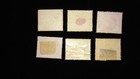 Western Australia Swan Stamps  Lot Of 6  Used   Mh
