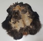 Pheasant Pelt Feathers South Dakota Salt Dried Crafts Taxidermy Imperfect 25c
